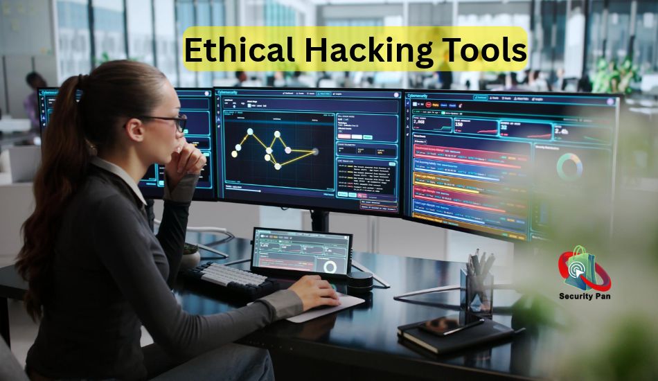 Security analyst using tools to assess network and web security
